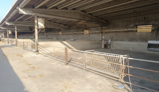 Cataluña levanta las últimas restricciones por la DNC, con pérdidas de 4 millones de euros Cataluña levanta las últimas restricciones por la DNC, con pérdidas de 4 millones de euros