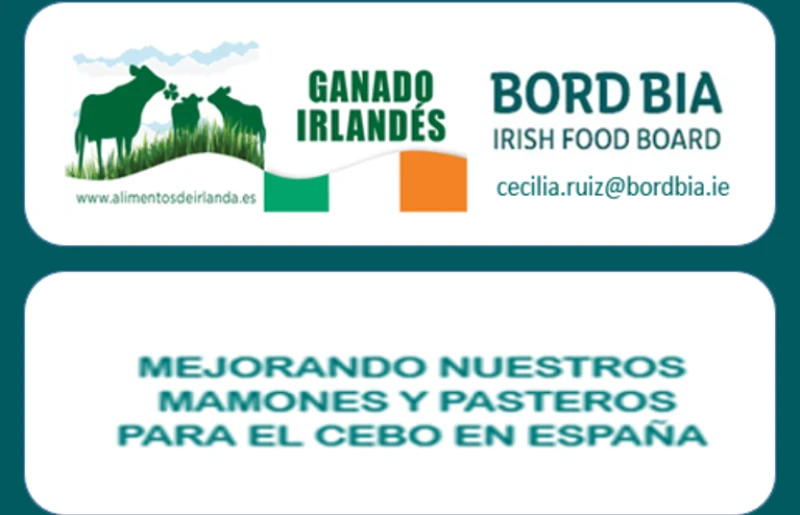 BordBia
