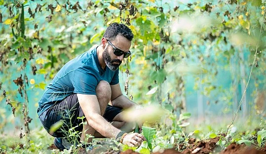 Abierto el plazo de solicitud para las estancias formativas del programa Cultiva 2025