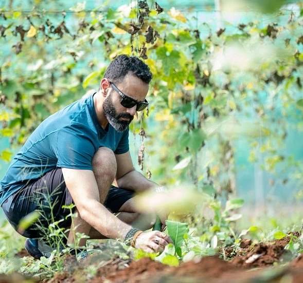 Abierto el plazo de solicitud para las estancias formativas del programa Cultiva 2025