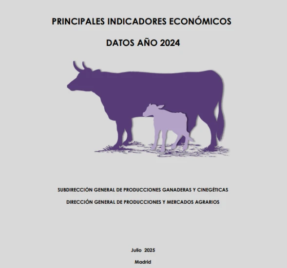 Publicado el informe anual del sector vacuno de carne con datos de 2024