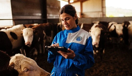 PROVACUNO lanza una innovadora app para medir la huella de carbono del vacuno de carne en España