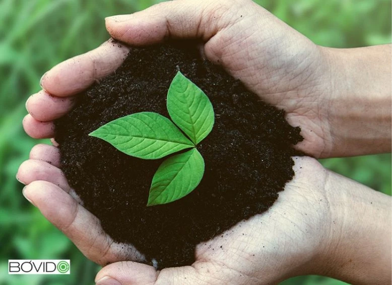 ¿Quieres medir tu huella de carbono?