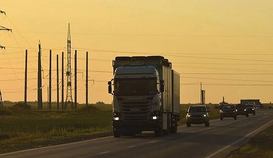 El PP presenta más de 500 enmiendas al Reglamento europeo de bienestar animal para proteger al sector ganadero y del transporte