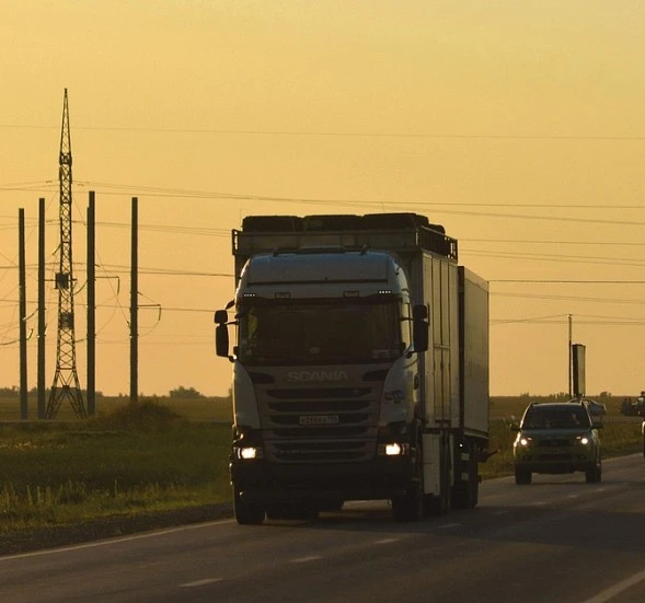 El PP presenta más de 500 enmiendas al Reglamento europeo de bienestar animal para proteger al sector ganadero y del transporte