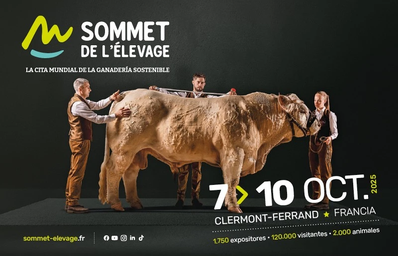 SOMMET