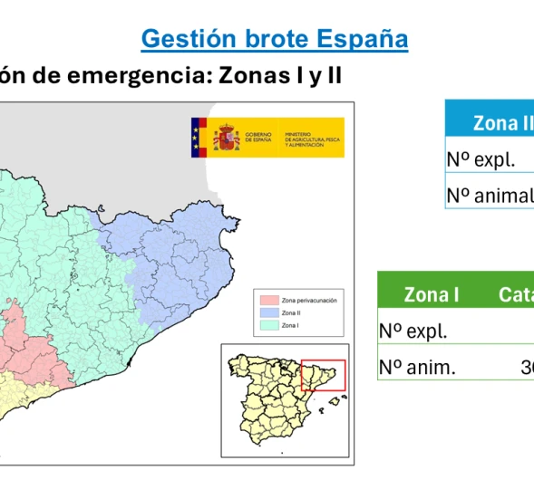 La UE permite ampliar la vacunación contra la dermatosis nodular contagiosa para proteger el ganado en Cataluña y Aragón La UE permite ampliar la vacunación contra la dermatosis nodular contagiosa para proteger el ganado en Cataluña y Aragón